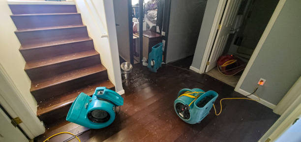 Best 24-hour water damage restoration  in Stamford, CT