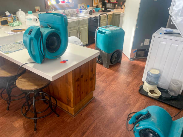 Water damage restoration insurance claims in CT
