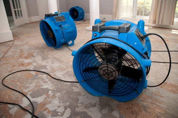 Best Commercial water damage restoration  in Stamford, CT