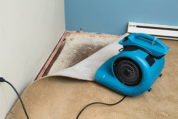Best Flooded house restoration  in Stamford, CT